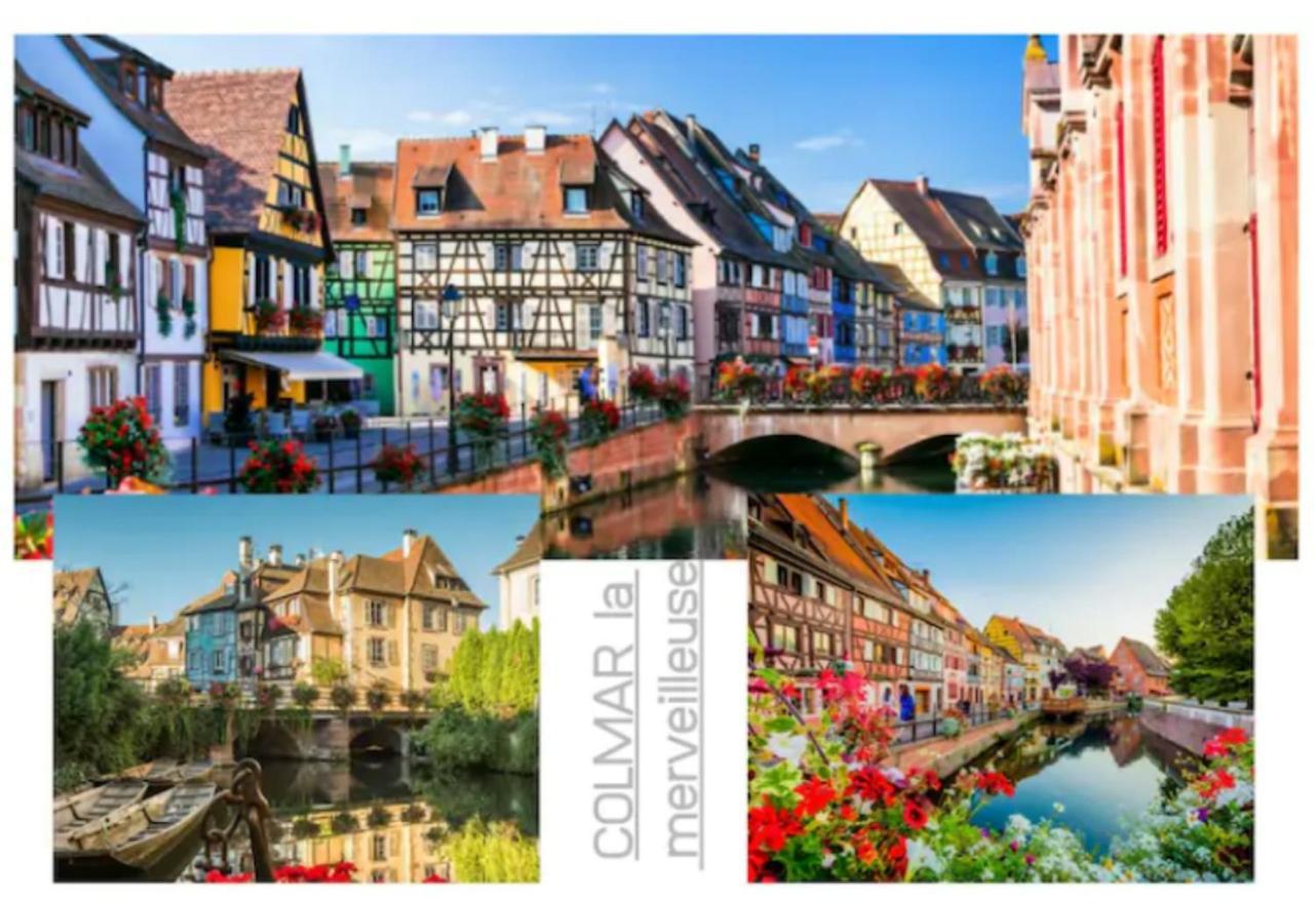 Peyerimhoff Colmar - 3 Chambres - 8 Pers - Clim Εξωτερικό φωτογραφία