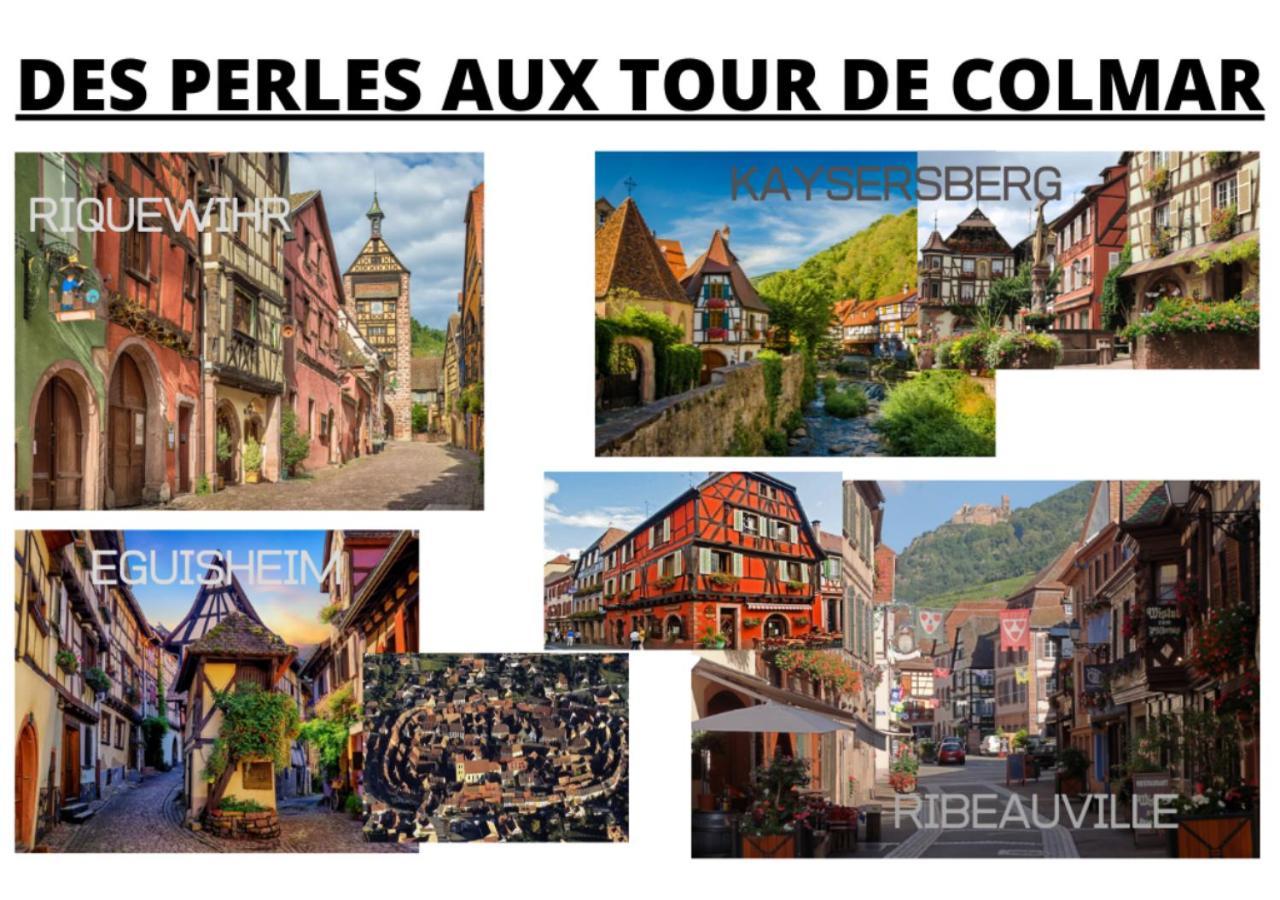 Peyerimhoff Colmar - 3 Chambres - 8 Pers - Clim Εξωτερικό φωτογραφία